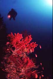 P09-04