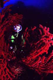 P09-05