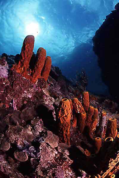 P02-06