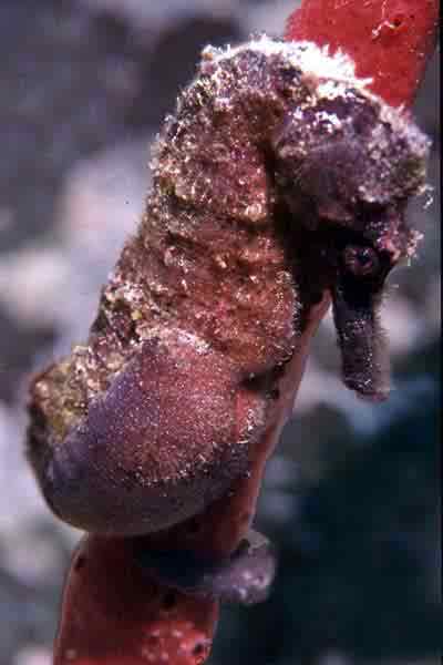 P02-10