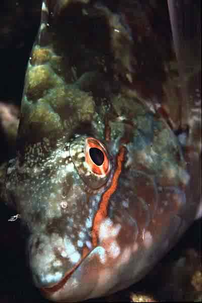P02-11